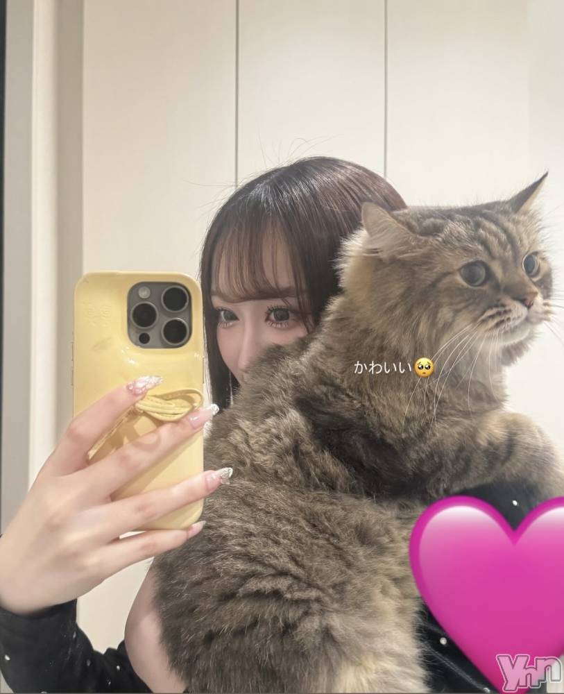 ���ܥ���Х��顦�����BRILLAR(�֥ꥸ�㡼��) �ߤ�Ӥ�11��1���̥�֥����ּ²ȤΥǥ��ˤ���