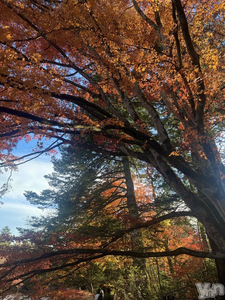 ���ܥ���Х��顦�����BRILLAR(�֥ꥸ�㡼��) �ߤ�Ӥ�11��11���̥�֥����ֽ�🍂��