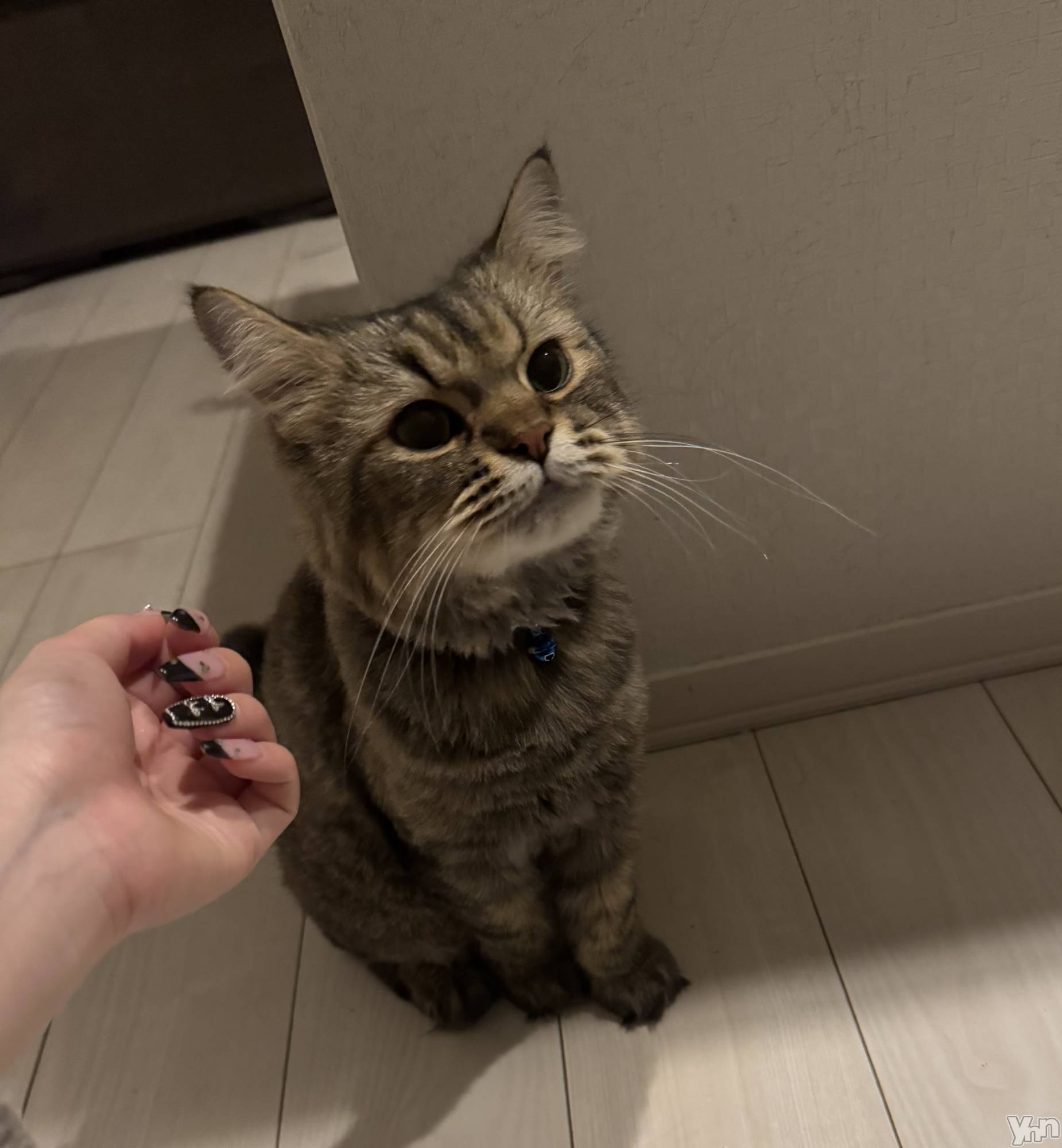 ���ܥ���Х��顦�����BRILLAR(�֥ꥸ�㡼��) ��2025ǯ10��31���̥�֥����ִŤ���˷�Τͤ������