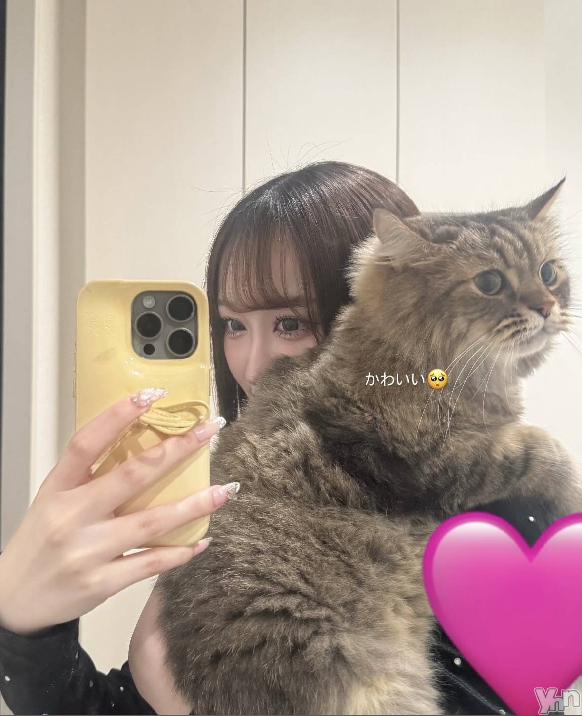 ���ܥ���Х��顦�����BRILLAR(�֥ꥸ�㡼��) ��2025ǯ11��1���̥�֥����ּ²ȤΥǥ��ˤ���