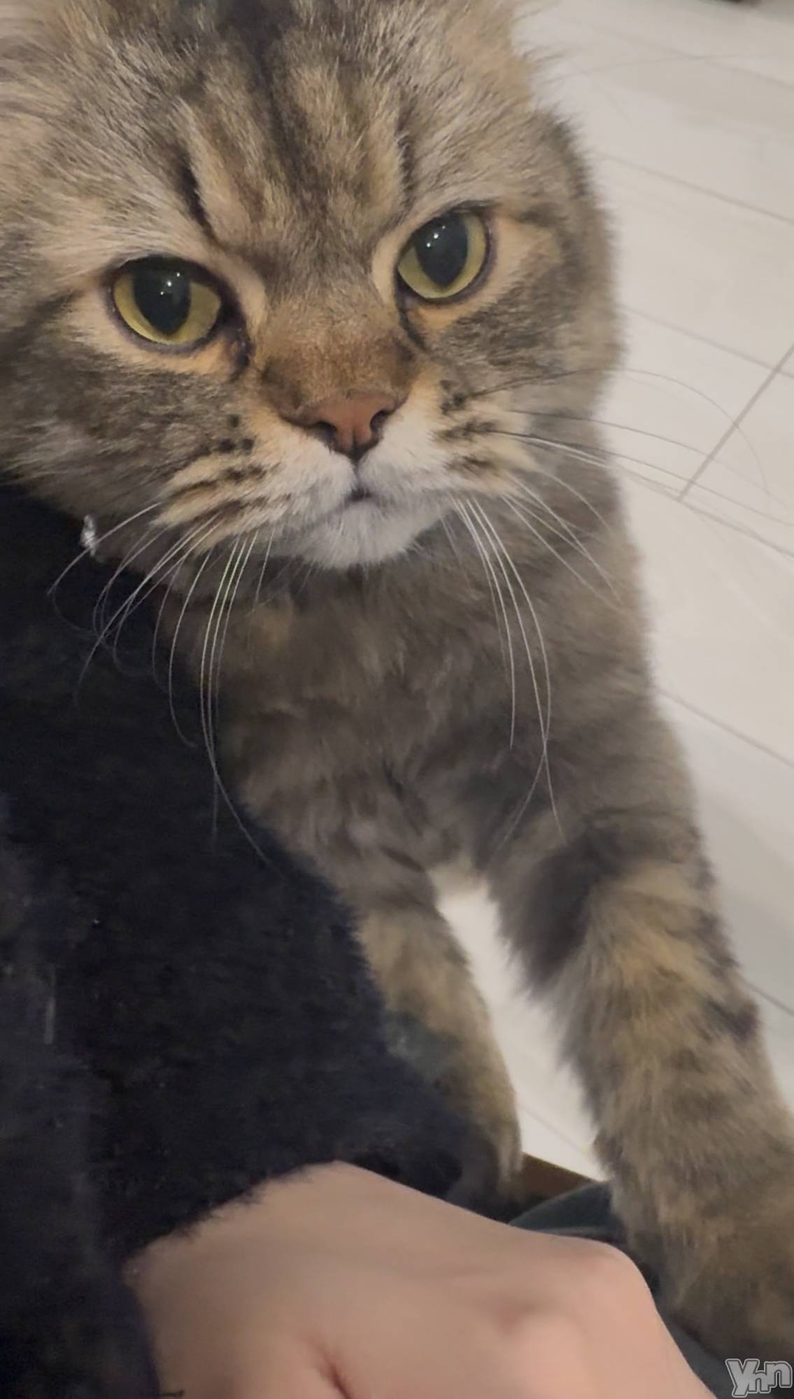 ���ܥ���Х��顦�����BRILLAR(�֥ꥸ�㡼��) ��2025ǯ11��27���̥�֥����ִŤ���˷�����