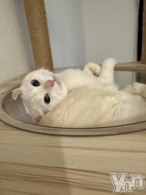 ���ܥ���Х��顦�����BRILLAR(�֥ꥸ�㡼��) �ߤ��(21)��10��21���̥�֥����ּ�γ��٤����Ѥ����뤦����ǭ��