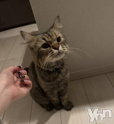 ���ܥ���Х��顦�����BRILLAR(�֥ꥸ�㡼��) �ߤ��(21)��10��31���̥�֥����ִŤ���˷�Τͤ������