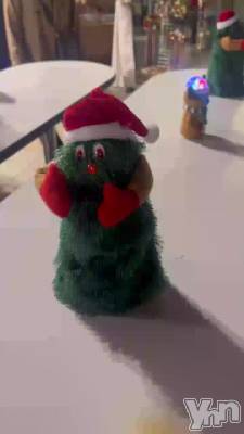 ��­���🎄🌟