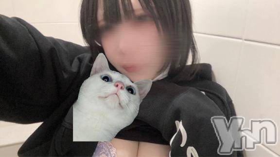 甲府ソープBARUBORA(バルボラ)れいな【地元キャスト】(21)の2026年6月16日写メブログ「よていくださいт⩊т」
