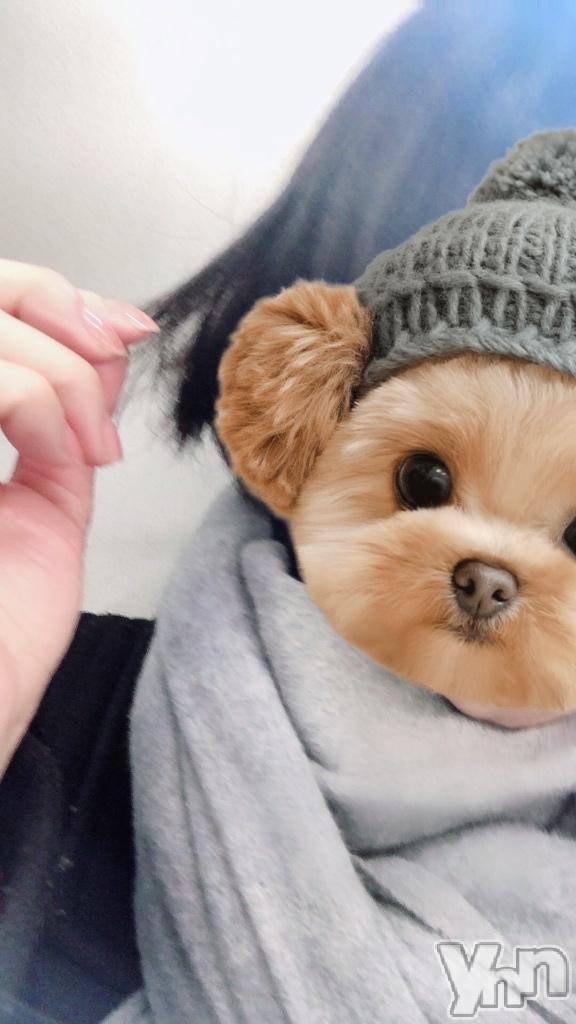 甲府デリヘル甲府人妻城(コウフヒトヅマジョウ)まりえ(45)の2026年2月11日写メブログ「出勤しました✨」