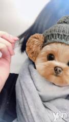 甲府デリヘル甲府人妻城(コウフヒトヅマジョウ) まりえ(45)の2月11日写メブログ「出勤しました✨」