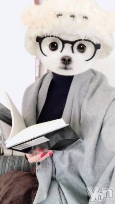 甲府デリヘル 甲府人妻城(コウフヒトヅマジョウ) まりえ(45)の1月17日写メブログ「✨出勤しました✨」