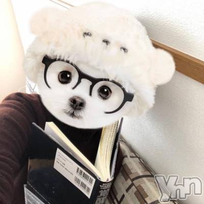 甲府デリヘル 甲府人妻城(コウフヒトヅマジョウ) まりえ(45)の2月1日写メブログ「出勤しました❣️」