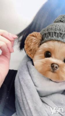 甲府デリヘル 甲府人妻城(コウフヒトヅマジョウ) まりえ(45)の2月11日写メブログ「出勤しました✨」