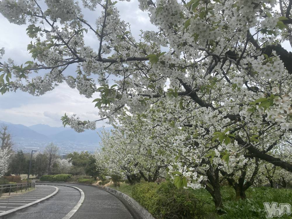 �ٻε��ĥ���Х��顦�����Club ALICE(����֥��ꥹ) ����4��8���̥�֥�����4��8�� 21��59ʬ�Υ֥�����