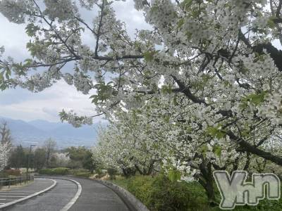 �ٻε��ĥ���Х��顦�����Club ALICE(����֥��ꥹ) ����4��8���̥�֥�����4��8�� 21��59ʬ�Υ֥�����