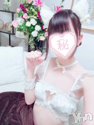 甲府デリヘル 甲府人妻城(コウフヒトヅマジョウ) なぎ(18)の2月16日写メブログ「飼ってくれる？🐱」