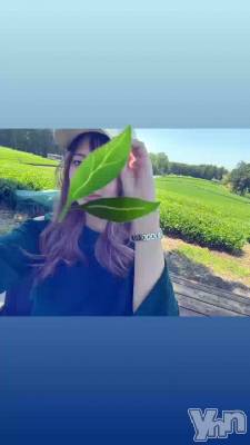 🍵𓈒 𓂂𓏸