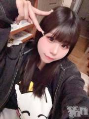 甲府ソープオレンジハウス ねこ(21)の6月1日写メブログ「💌うさぎさん🐰」