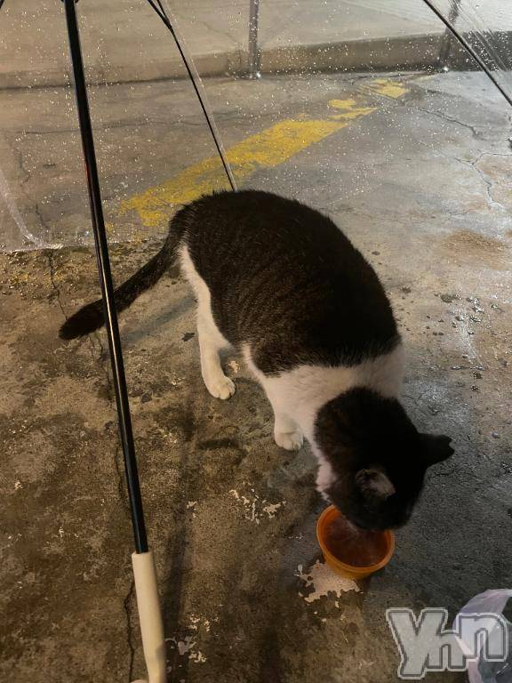 甲府ソープオレンジハウス まい(23)の3月4日写メブログ「延長最高🤍」