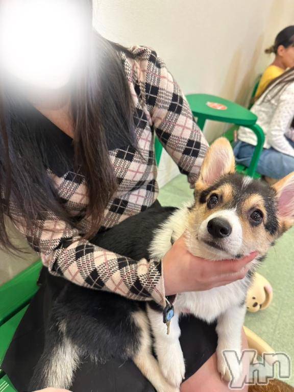 甲府ソープオレンジハウス まい(23)の4月13日写メブログ「覚悟してね⸝⸝⸝⸝？」