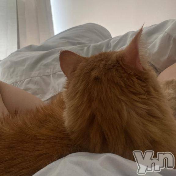 甲府ソープオレンジハウスまい(23)の2026年3月1日写メブログ「おいで？👉🏻」