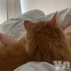 甲府ソープオレンジハウス まい(23)の3月1日写メブログ「おいで？👉🏻」