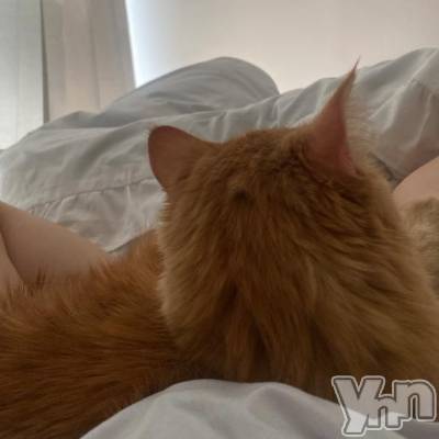 甲府ソープ オレンジハウス まい(23)の3月1日写メブログ「おいで？👉🏻」