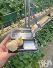 甲府ソープBARUBORA(バルボラ) える【地元新人】(20)の3月30日写メブログ「明日！！！」