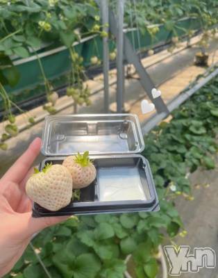 甲府ソープ BARUBORA(バルボラ) える【地元新人】(20)の3月30日写メブログ「明日！！！」