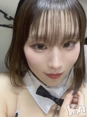 ���ܥ��ʥå��������륺�С�Girl's Bar All-in(�����륤��)(�����륺�С������륤��) ���(23)��12��30���̥�֥����֤���!��