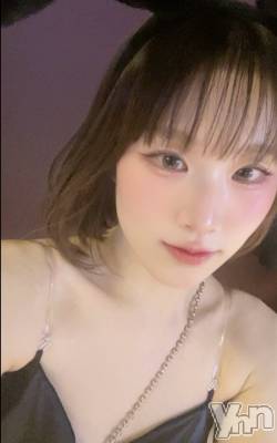 ���ܥ��ʥå��������륺�С�Girl's Bar All-in(�����륤��)(�����륺�С������륤��) ���(23)��1��2���̥�֥����֤����