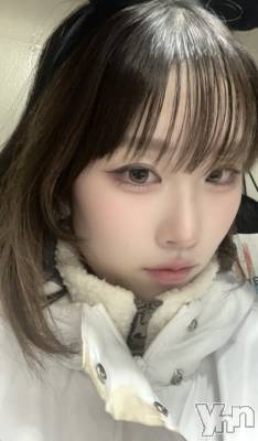 ���ܥ��ʥå��������륺�С�Girl's Bar All-in(�����륤��)(�����륺�С������륤��) ���(23)��1��3���̥�֥����֤���!��