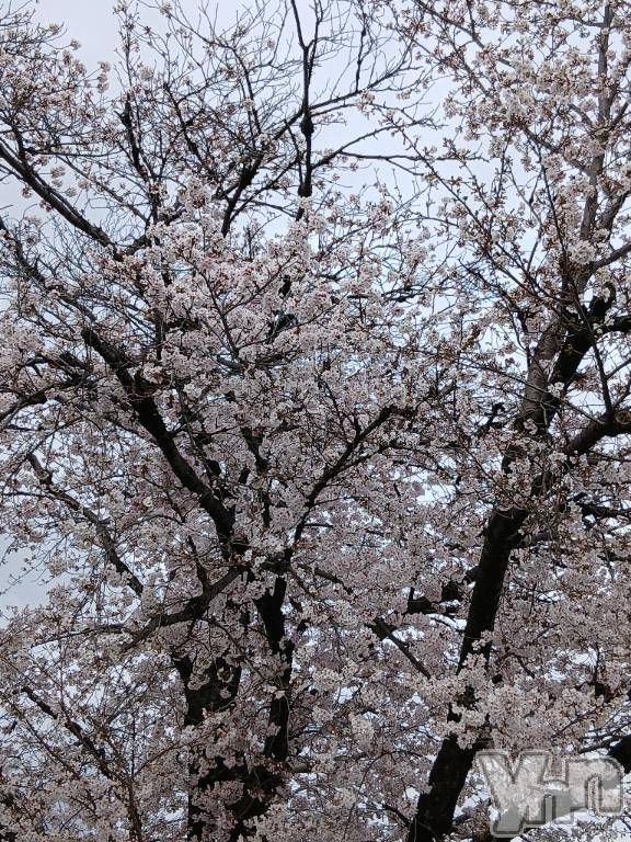 甲府デリヘル甲府人妻城(コウフヒトヅマジョウ) しき(36)の3月27日写メブログ「夜風が…」