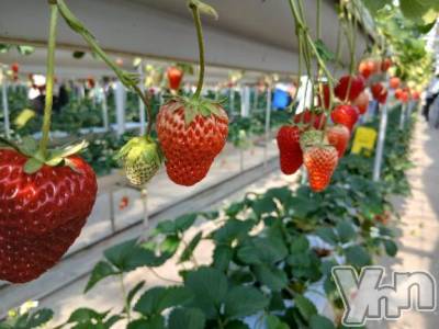 甲府デリヘル 甲府人妻城(コウフヒトヅマジョウ) しき(36)の2月28日写メブログ「風やばぁー😱」