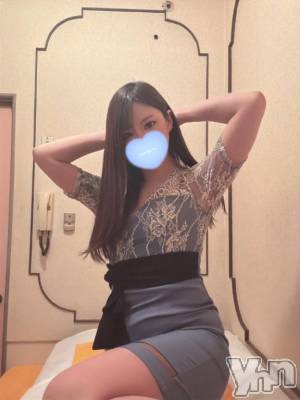 今回の🩵