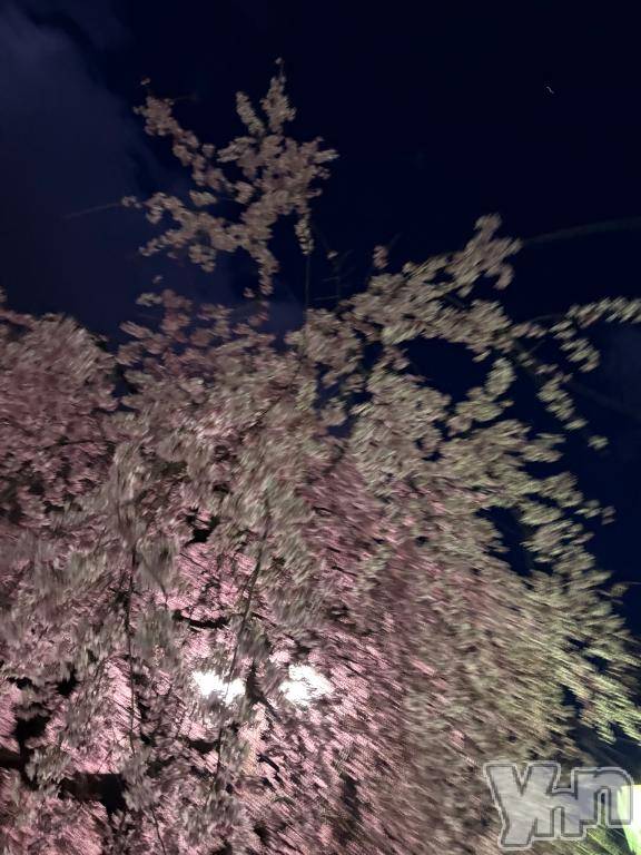 甲府ソープBARUBORA(バルボラ)いおり【地元キャスト】(20)の2026年3月21日写メブログ「出勤💨春はあけぼの」