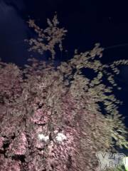 甲府ソープBARUBORA(バルボラ) いおり【地元キャスト】(20)の3月21日写メブログ「出勤💨春はあけぼの」