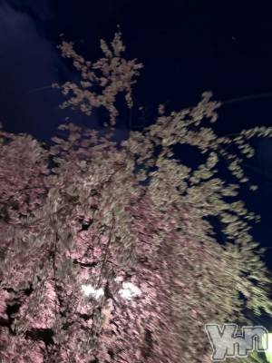 甲府ソープ BARUBORA(バルボラ) いおり【地元キャスト】(20)の3月21日写メブログ「出勤💨春はあけぼの」