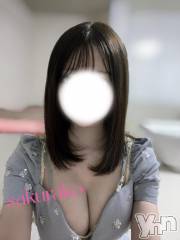 甲府ソープオレンジハウス さくらこ(23)の1月14日写メブログ「今すぐ🌷🌸」