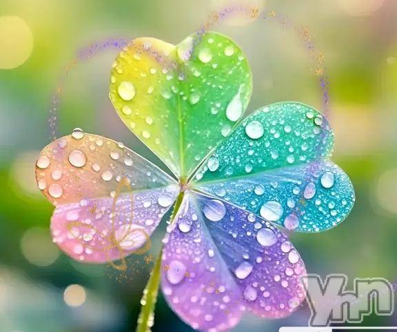 甲府デリヘル甲府人妻隊(コウフヒトヅマタイ)ゆみか(49)の2025年12月20日写メブログ「ありがとう💓」