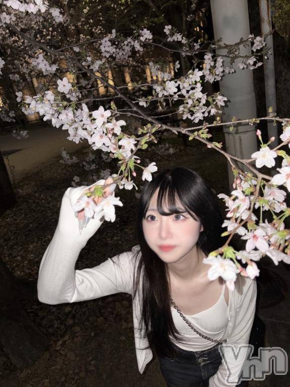 甲府ソープオレンジハウスつむ(29)の2026年4月15日写メブログ「明日から🦋」