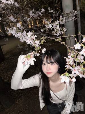 甲府ソープ オレンジハウス つむ(29)の4月15日写メブログ「明日から🦋」