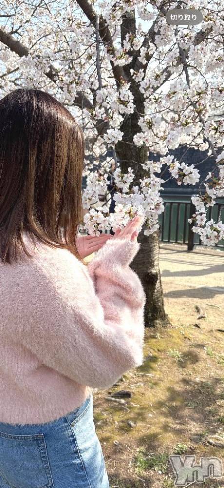 甲府ソープBARUBORA(バルボラ) みき(20)の1月13日写メブログ「本日まで❕」