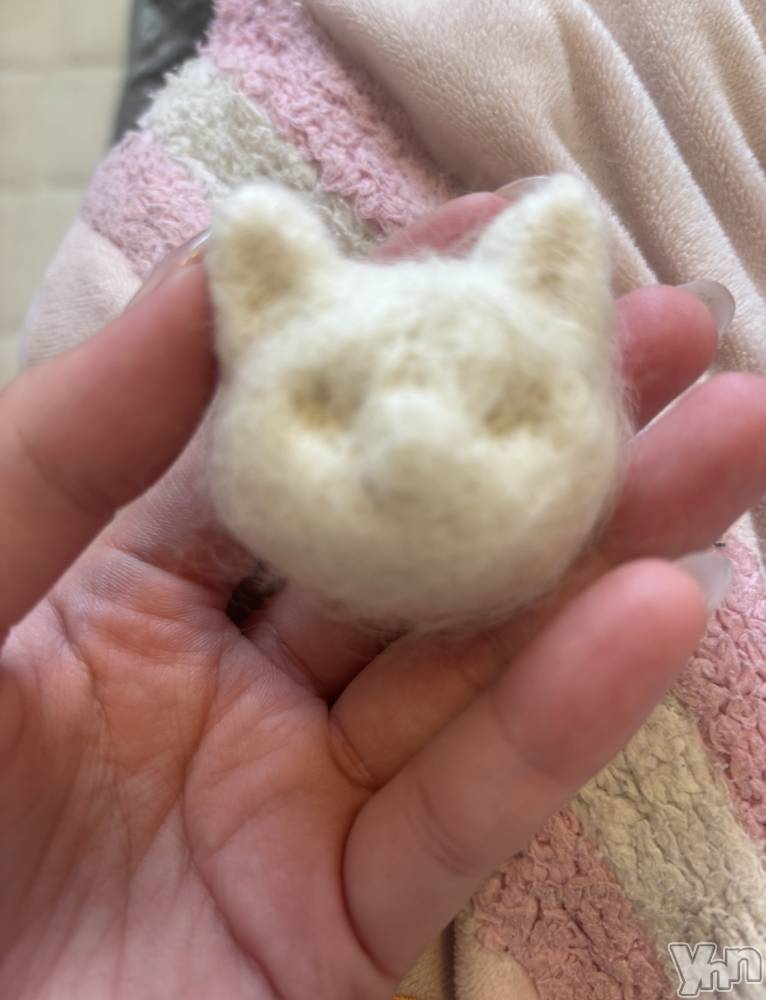 ���ܥ���Х��顦�����CLUB WONDER(����� ������) �����4��23���̥�֥����֤ͤ���