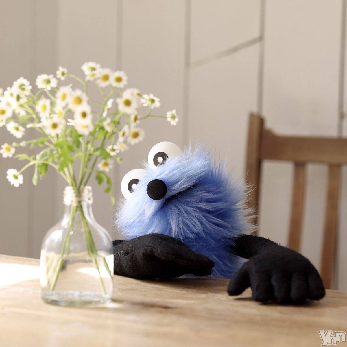 ���ܥ���Х��顦�����CLUB WONDER(����� ������) ��2026ǯ1��10���̥�֥����֥֥����Ϥ���ޤ���������