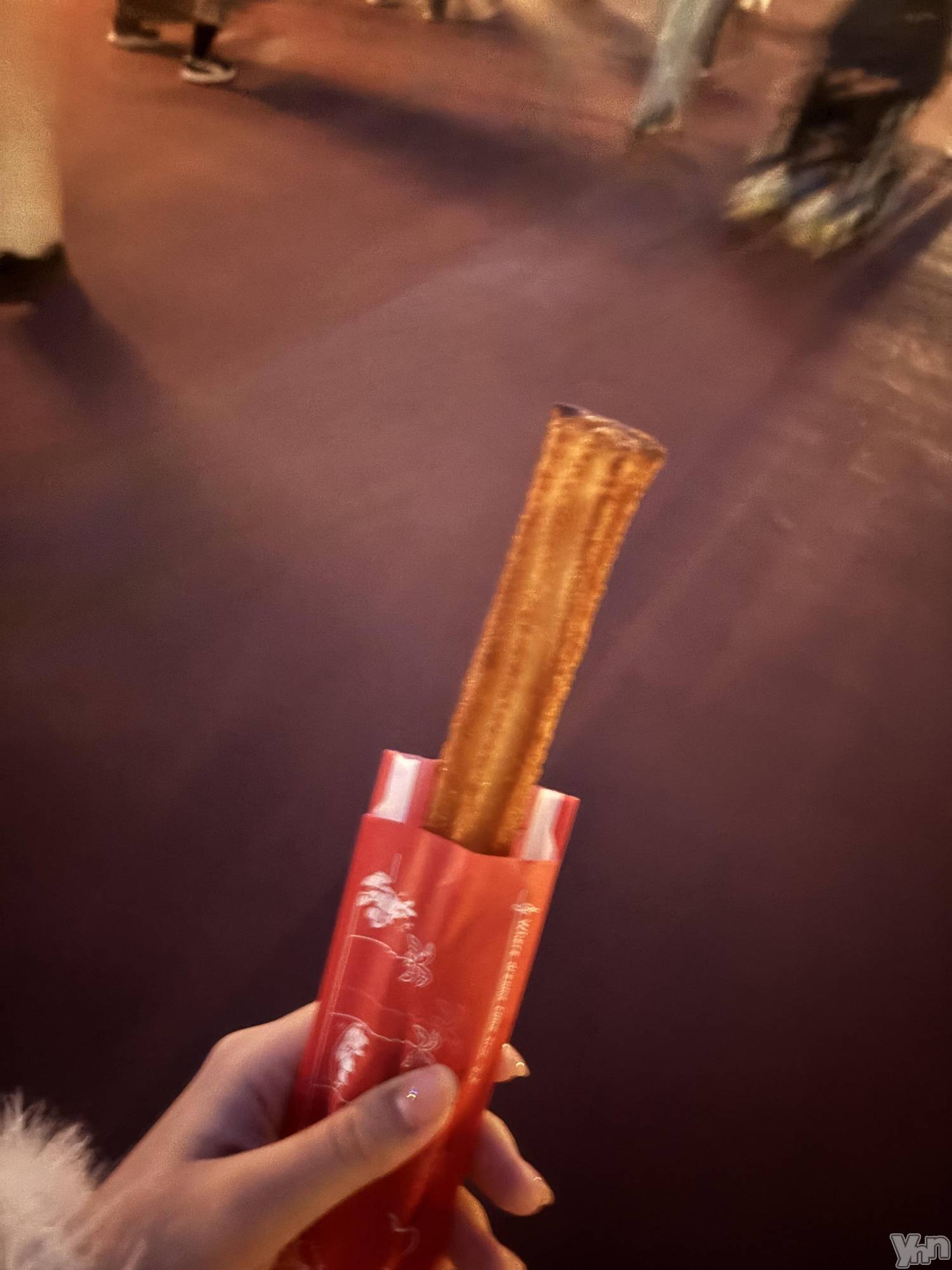 ���ܥ���Х��顦�����CLUB WONDER(����� ������) ��2026ǯ2��19���̥�֥����֥ǥ����ˡ�😻��