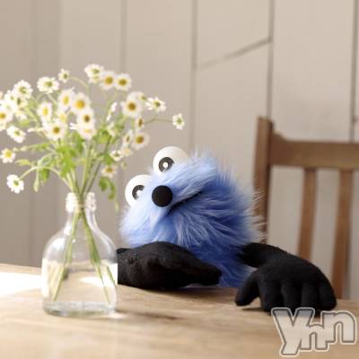 ���ܥ���Х��顦�����CLUB WONDER(����� ������) �����(20)��1��10���̥�֥����֥֥����Ϥ���ޤ���������