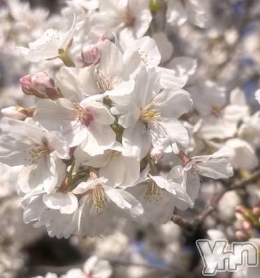 ���ܥ���Х��顦�����CLUB WONDER(����� ������) ����(20)��3��27���̥�֥����֤��ָ�🌸🍃��