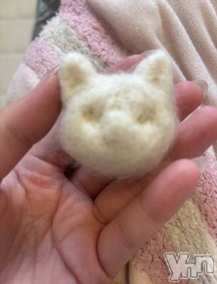 ���ܥ���Х��顦�����CLUB WONDER(����� ������) ����(20)��4��23���̥�֥����֤ͤ���