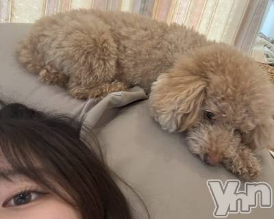 ���ܥ���Х��顦�����CLUB WONDER(����� ������) ����(20)��10��8���̥�֥����֤������🐶🐾��