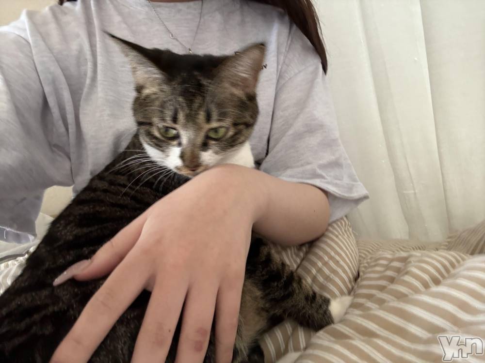 ���ܥ���Х��顦�����CLUB WONDER(����� ������) �ʤ���3��26���̥�֥����֤��פ��֤�Ǥ�🙇🏼‍��️��