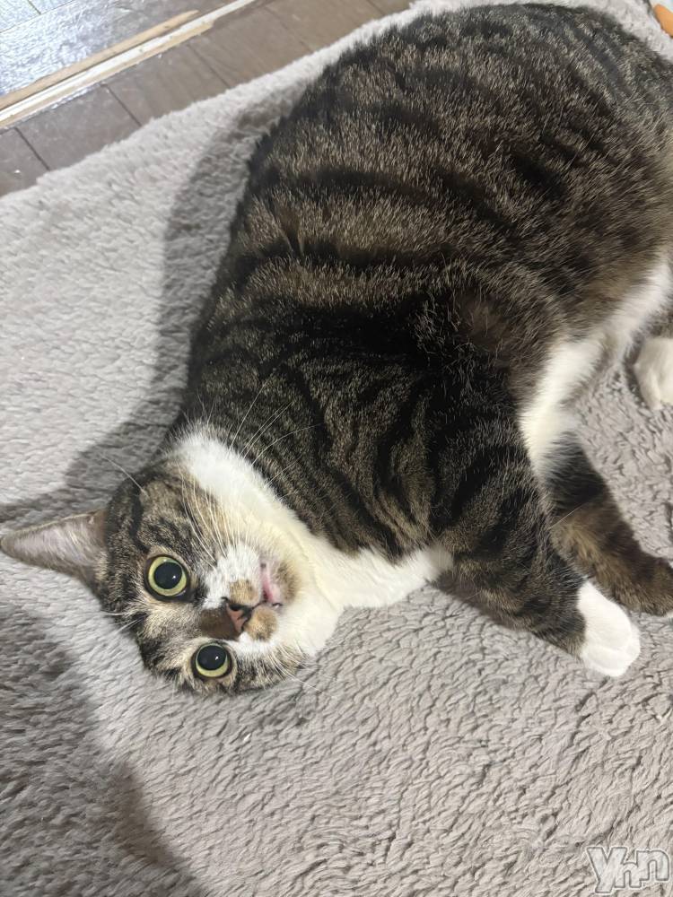 ���ܥ���Х��顦�����CLUB WONDER(����� ������) �ʤ���3��29���̥�֥����֤ˤ��褦🐱🐾��