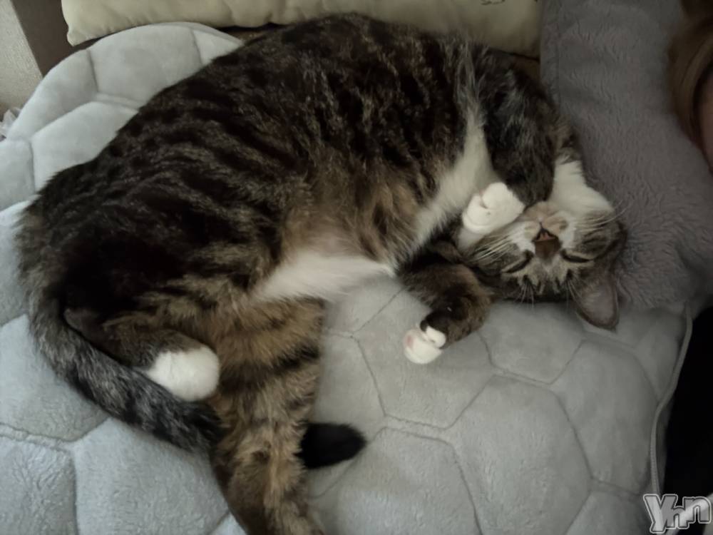 ���ܥ���Х��顦�����CLUB WONDER(����� ������) �ʤ���4��25���̥�֥����֤ˤ��ˤ��🐾��